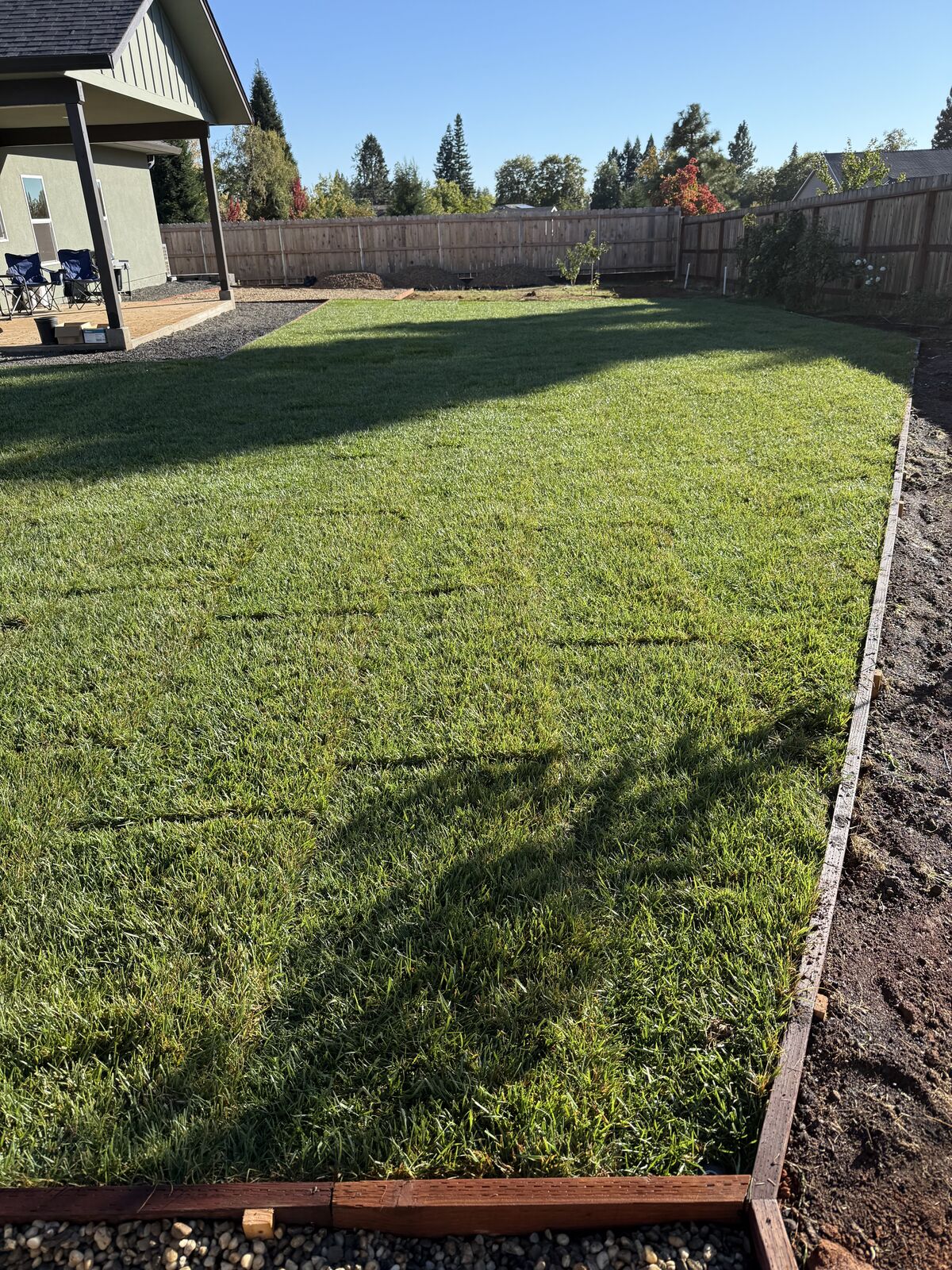 Finished backyard with fresh green sod lawn and clean edging
